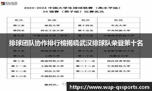 排球团队协作排行榜揭晓武汉排球队荣登第十名